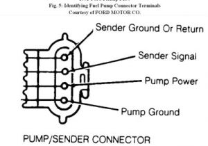 95 F150 Fuel Pump Wiring Diagram 1995 F150 Fuel Pump Wire Harness Wiring Diagrams Show