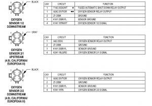 97 Civic O2 Sensor Wiring Diagram Wrg 5660 Wiring Diagram Of Honda Livo 97 Civic O2 Sensor Wiring Diagram Wrg 5660 Wiring Diagram Of Honda Livo