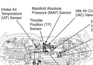 97 Honda Civic Wiring Harness Diagram 1997 Honda Civic Ex Engine Diagram Blog Wiring Diagram 97 Honda Civic Wiring Harness Diagram 1997 Honda Civic Ex Engine Diagram Blog Wiring Diagram