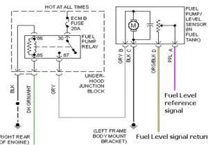 97 S10 Fuel Pump Wiring Diagram Gmc Fuel Pump Wiring Wiring Diagram