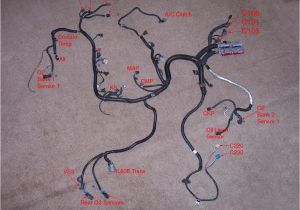 98 Camaro Wiring Diagram 2000 Camaro Wiring Harness Wiring Diagram Details