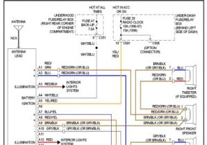 98 Honda Civic Ignition Wiring Diagram 99 Honda Civic Wire Diagram Wiring Diagram Paper