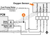 99 Civic O2 Sensor Wiring Diagram ford Ranger O2 Sensor Wiring Diagram Wiring Diagram Post