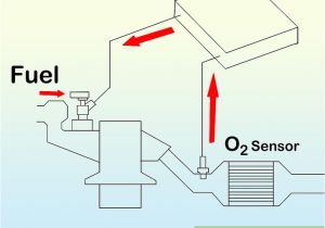 99 Civic O2 Sensor Wiring Diagram How to Check Honda Oxygen Sensors 12 Steps with Pictures