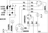 Ac Capacitor Wiring Diagram Ac Condenser Wiring Diagram Wiring Diagram Database