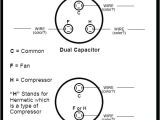 Ac Dual Capacitor Wiring Diagram Electric Motor Capacitor Replacement Cohortes Co