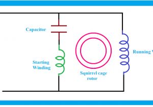 Ac Motor Wiring Diagram Capacitor Electric Motor Capacitor Wiring Diagram Database