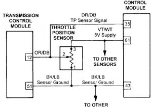 Accelerator Pedal Position Sensor Wiring Diagram 4 Wire Throttle Position Sensor Diagram Wiring Diagram Sheet Accelerator Pedal Position Sensor Wiring Diagram 4 Wire Throttle Position Sensor Diagram Wiring Diagram Sheet