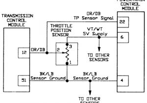 Accelerator Pedal Position Sensor Wiring Diagram 4 Wire Throttle Position Sensor Diagram Wiring Diagram Sheet Accelerator Pedal Position Sensor Wiring Diagram 4 Wire Throttle Position Sensor Diagram Wiring Diagram Sheet