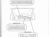 Acura Rsx Stereo Wiring Diagram Acura Speaker Wiring Wiring Diagram