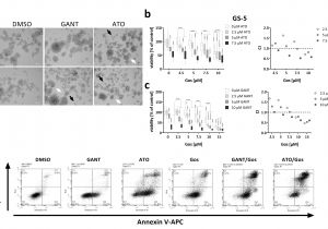 Aem 35 8460 Wiring Diagram Cancers Free Full Text Arsenic Trioxide and A Gossypol Aem 35 8460 Wiring Diagram Cancers Free Full Text Arsenic Trioxide and A Gossypol