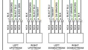 Aem Wideband O2 Sensor Wiring Diagram 28 5 Wire O2 Sensor Wiring Diagram Wiring Diagram List