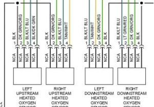 Aem Wideband O2 Sensor Wiring Diagram 28 5 Wire O2 Sensor Wiring Diagram Wiring Diagram List Aem Wideband O2 Sensor Wiring Diagram 28 5 Wire O2 Sensor Wiring Diagram Wiring Diagram List