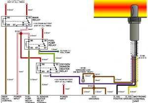 Aem Wideband O2 Sensor Wiring Diagram Bl 7027 92 Dodge Sel Wiring Diagram Free Diagram Aem Wideband O2 Sensor Wiring Diagram Bl 7027 92 Dodge Sel Wiring Diagram Free Diagram