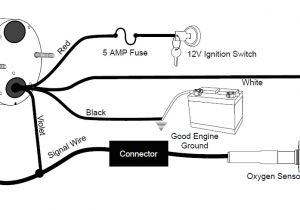 Aem Wideband O2 Sensor Wiring Diagram Wg 9590 Auto Meter Tach Wiring Diagram Wires Download Diagram