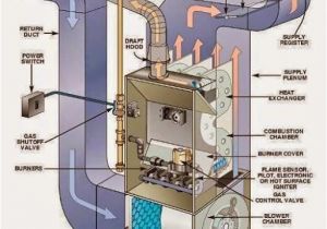 Ahu Panel Wiring Diagram Gas Furnace Electrical Wiring Wiring Diagram Show
