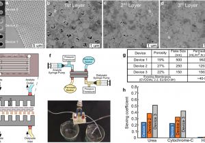 Allen Bradley 700 Hr Wiring Diagram Bilayer Graphene Oxide Membranes for A Wearable Hemodialyzer Allen Bradley 700 Hr Wiring Diagram Bilayer Graphene Oxide Membranes for A Wearable Hemodialyzer