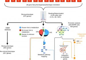 Allen Bradley E1 Plus Wiring Diagram Identification Of Genetic Elements In Metabolism by High