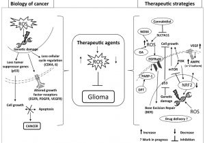 Alpine Cda 7839 Wiring Diagram Ijms June 2016 Browse Articles Alpine Cda 7839 Wiring Diagram Ijms June 2016 Browse Articles