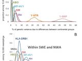 Alpine Cde 122 Wiring Diagram Human Genetic Differentiation Across the Strait Of Gibraltar Bmc Alpine Cde 122 Wiring Diagram Human Genetic Differentiation Across the Strait Of Gibraltar Bmc