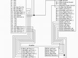 Alpine Ktp-445 Wiring Diagram 1994 Nissan Pathfinder Stereo Wiring Diagram Wiring Diagram Database Alpine Ktp-445 Wiring Diagram 1994 Nissan Pathfinder Stereo Wiring Diagram Wiring Diagram Database