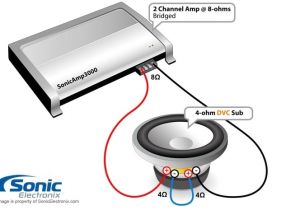 Alpine Type R 10 Wiring Diagram Alpine Type X Wiring Diagram Wiring Diagram Networks Alpine Type R 10 Wiring Diagram Alpine Type X Wiring Diagram Wiring Diagram Networks
