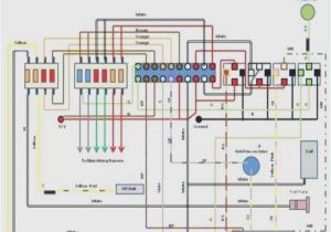 Alternator Wiring Diagram ford 1988 ford Thunderbird Wiring Diagram 1970 ford Alternator Wiring Alternator Wiring Diagram ford 1988 ford Thunderbird Wiring Diagram 1970 ford Alternator Wiring