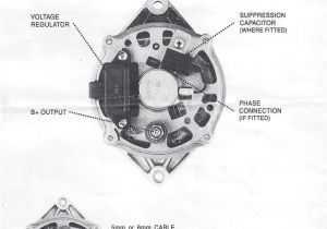 Alternator Wiring Diagram Internal Regulator Bosch Internal Regulator Alternator Wiring Diagram Alternator Wiring Diagram Internal Regulator Bosch Internal Regulator Alternator Wiring Diagram