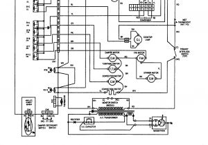 Amana Dryer Wiring Diagram Amana Dryer Diagram Wiring Diagram Technicals
