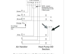 Amana Ptac Wiring Diagram Amana thermostat Wiring Diagram Wiring Diagram Echo Amana Ptac Wiring Diagram Amana thermostat Wiring Diagram Wiring Diagram Echo