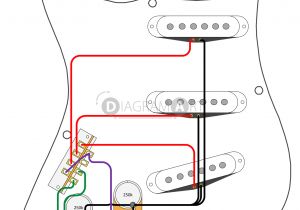 American Standard Strat Wiring Diagram 30 Wiring Diagram for Electric Guitar Stratocaster Guitar