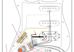 American Standard Strat Wiring Diagram Fender American Standard Stratocaster Hss Shawbuckertrade American Standard Strat Wiring Diagram Fender American Standard Stratocaster Hss Shawbuckertrade