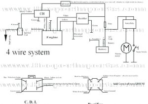 Ams 2000 Wiring Diagram C251039273 Kazuma 50cc atv Wiring Diagram Wiring Diagram