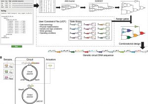 Ams 2000 Wiring Diagram Genetic Circuit Design Automation Science Ams 2000 Wiring Diagram Genetic Circuit Design Automation Science