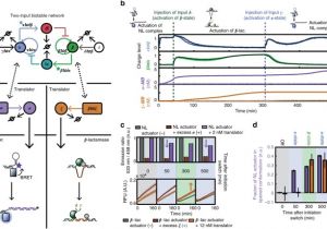 Andco Actuators Wiring Diagram Hierarchical Control Of Enzymatic Actuators Using Dna Based Andco Actuators Wiring Diagram Hierarchical Control Of Enzymatic Actuators Using Dna Based