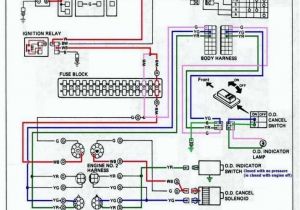 Ansul Shunt Trip Wiring Diagram Ansul System Wiring Diagram orthodontistsnear Me Ansul Shunt Trip Wiring Diagram Ansul System Wiring Diagram orthodontistsnear Me