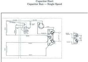 Ao Smith Electric Motor Wiring Diagram Century Dl1036 Wiring Diagram Schema Diagram Database
