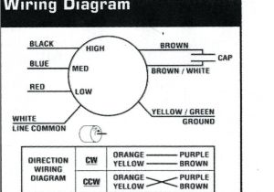 Ao Smith Wiring Diagram Ac Motor Ao Smith Motor Wiring Diagram Bcberhampur org Ao Smith Wiring Diagram Ac Motor Ao Smith Motor Wiring Diagram Bcberhampur org