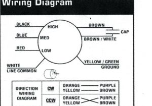 Ao Smith Wiring Diagram Ac Motor Ao Smith Motor Wiring Diagram Bcberhampur org