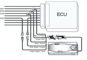 Apexi Auto Timer Wiring Diagram Apexi Rsm Wiring Diagram Wiring Diagram Basic Electrical Schematic Apexi Auto Timer Wiring Diagram Apexi Rsm Wiring Diagram Wiring Diagram Basic Electrical Schematic
