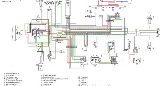 Aprilia Rs 50 Wiring Diagram Aprilia Wiring Diagram Wiring Diagrams Konsult