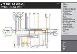 Aprilia Sr 50 Wiring Diagram Aprilia Rs 50 2008 Wiring Diagram Wiring Diagram Technic