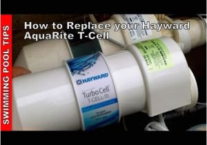 Aqua Rite Wiring Diagram How to Replace Your Hayward Aqua Rite Turbo Cell Youtube