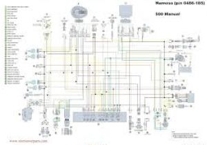 Arctic Cat 250 Wiring Diagram Arctic Cat 250 Wiring Diagram Wiring Schema