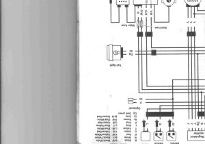 Arctic Cat 300 4×4 Wiring Diagram Honda 300 Wiring Diagram Blog Wiring Diagram