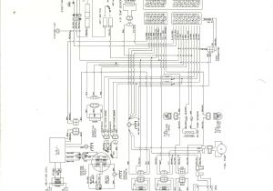 Arctic Cat Ignition Switch Wiring Diagram 1990 Arctic Cat Wiring Diagram Wiring Diagram Rows