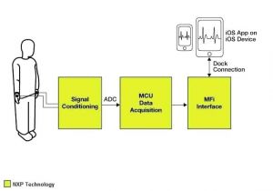 Asco Accessory 47 Wiring Diagram 7 Way Trailer Plug Wiring Diagram toyota Tundra asco 920 Wire