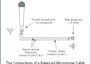 Astatic 575 M6 Wiring Diagram Cb Mic Wiring Plug Wiring Diagram Ebook