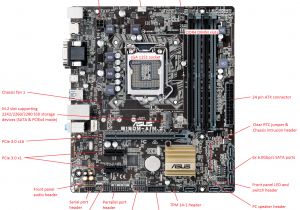 Asus Motherboard Diagram Wiring Stone Computers Knowledgebase Desktop Pcs and All In One Aio