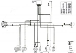Atc 200 Wiring Diagram 3wheeler World Honda atc Wiring Diagrams